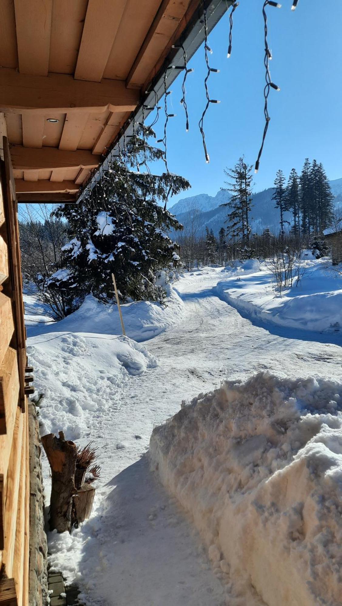 Goralska Chata Przy Dolinie Chocholowskiej Witów Kültér fotó